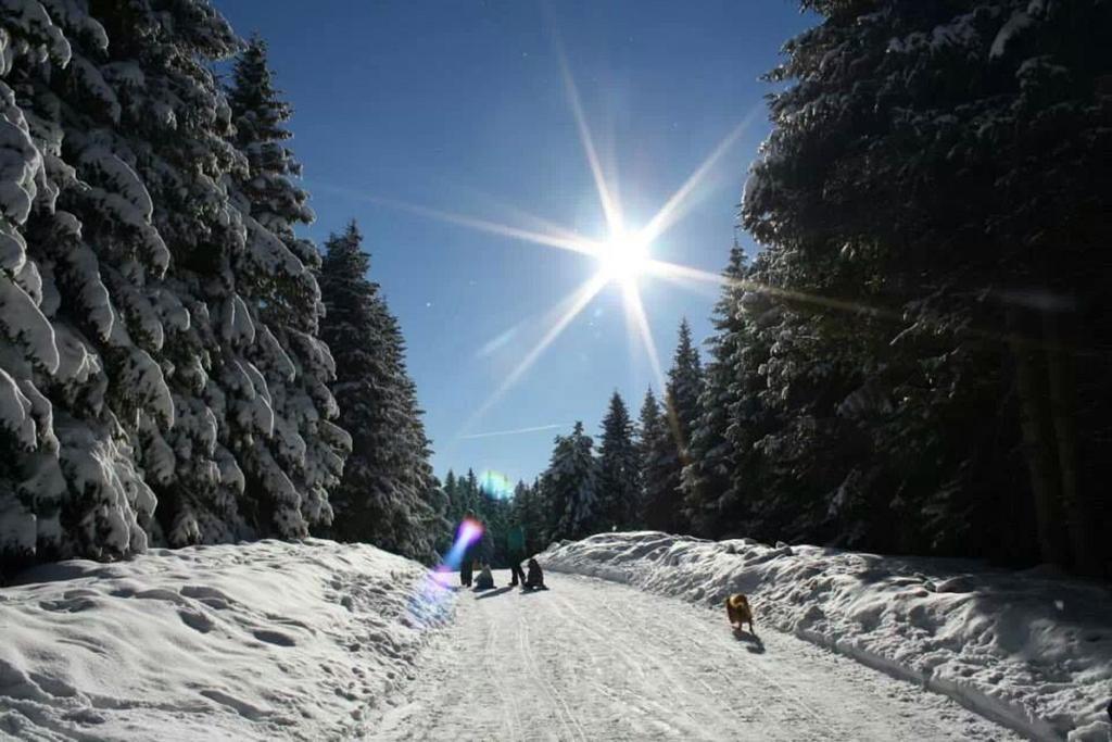Pension Kisela Fohnsdorf Bagian luar foto